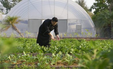 Chiva-Som - Organic Garden with Chef Paisarn